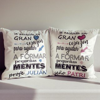 COJÍN PEQUEÑAS MENTES