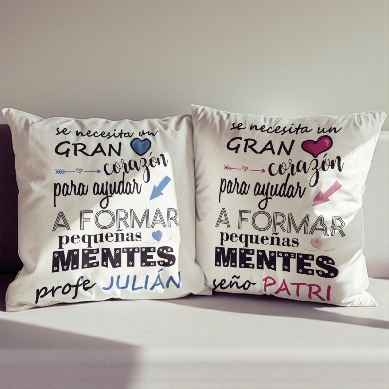 COJÍN PEQUEÑAS MENTES
