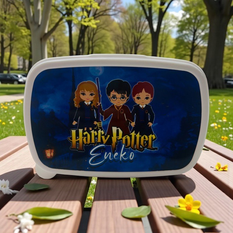 FIAMBRERA HARRY POTTER