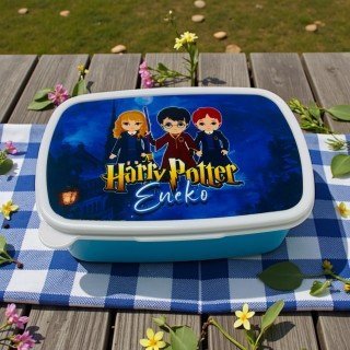 FIAMBRERA HARRY POTTER