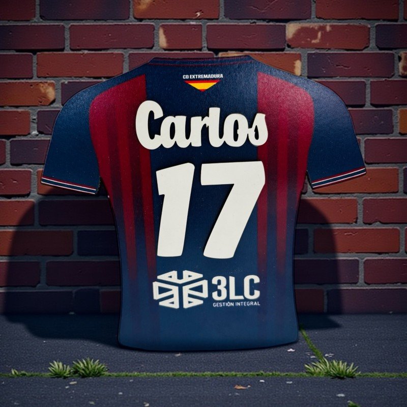 LAPICEROS CAMISETAS EQUIPOS LOCALES