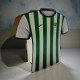 LAPICEROS CAMISETAS EQUIPOS LOCALES