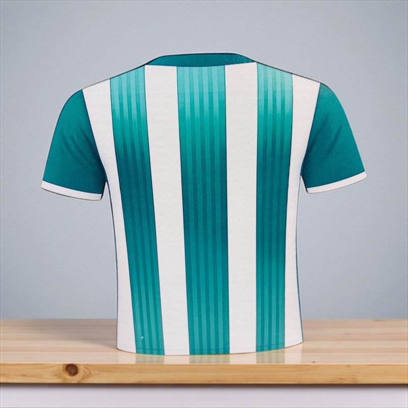 LAPICEROS CAMISETAS EQUIPOS LOCALES