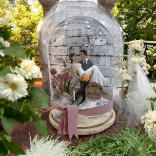 CÚPULA BODA MUJER EN BRAZOS