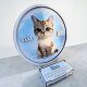 CUADRO DE FIRMAS GATITO