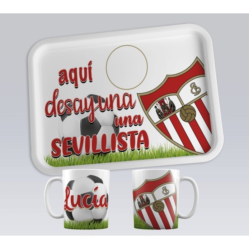 BANDEJAS EQUIPOS