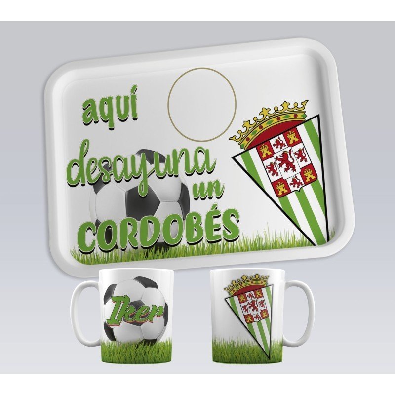 BANDEJAS EQUIPOS