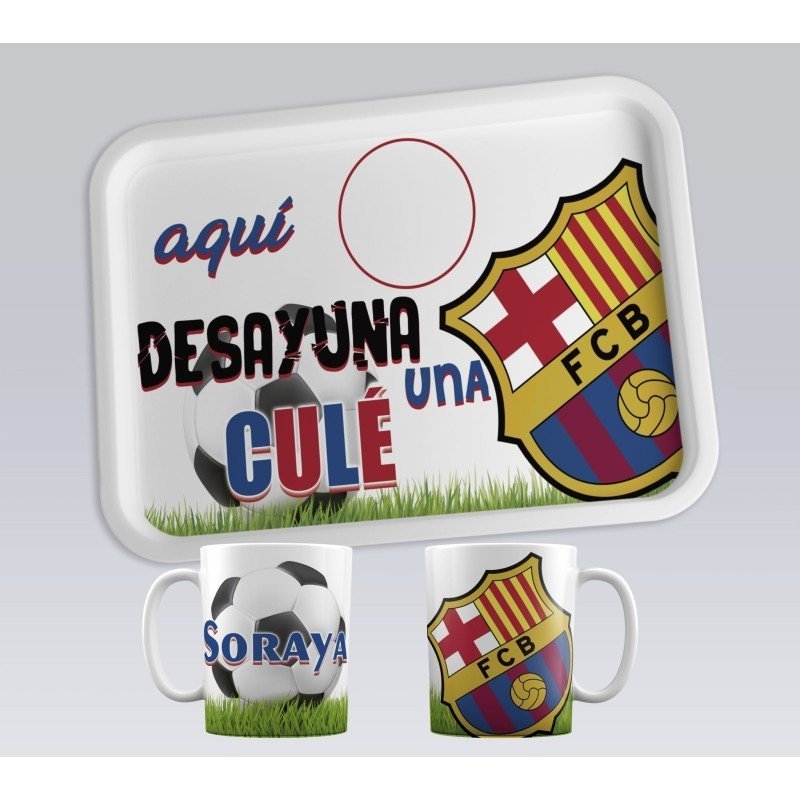 BANDEJAS EQUIPOS