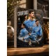 CAJA LIBRO THIBAUT COURTOIS
