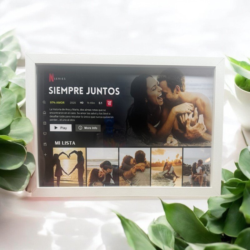 CUADRO NETFLIX