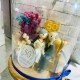 CÚPULA 50 ANIVERSARIO