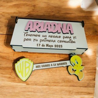 LLAVE WARNER COLOR PIOLIN