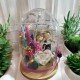CÚPULA NOVIOS PHOTOCALL