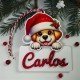 BOLAS NAVIDAD ANIMALITOS NAVIDEÑOS