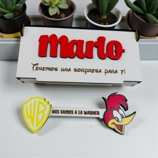 LLAVE WARNER COLOR PÁJARO LOCO