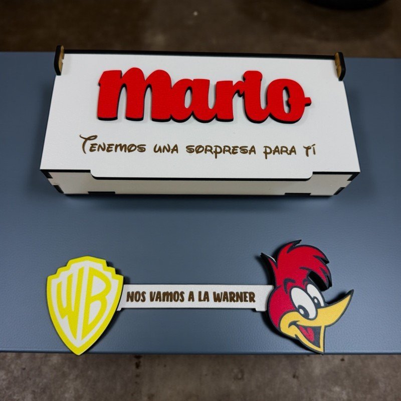 LLAVE WARNER COLOR PÁJARO LOCO