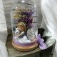 CÚPULA DE COMUNIÓN NIÑA AINARA
